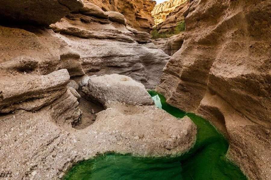 طبس تا کال جنی