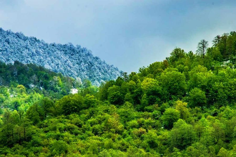 جنگل ابر تا آبشار مجن