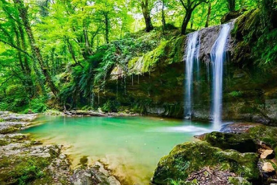 جنگل الیمالات