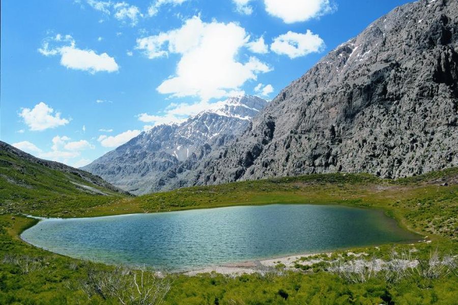 دنا تا سی سخت