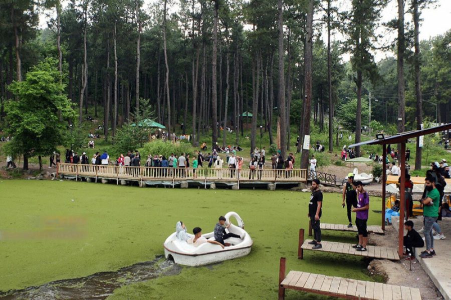 مرداب سبز سراوان