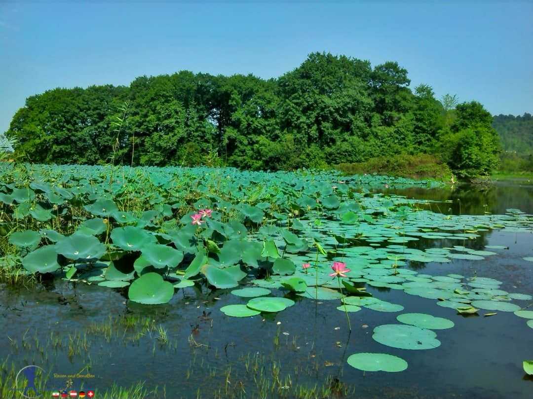 قطار لاهیجان تا بام سبز