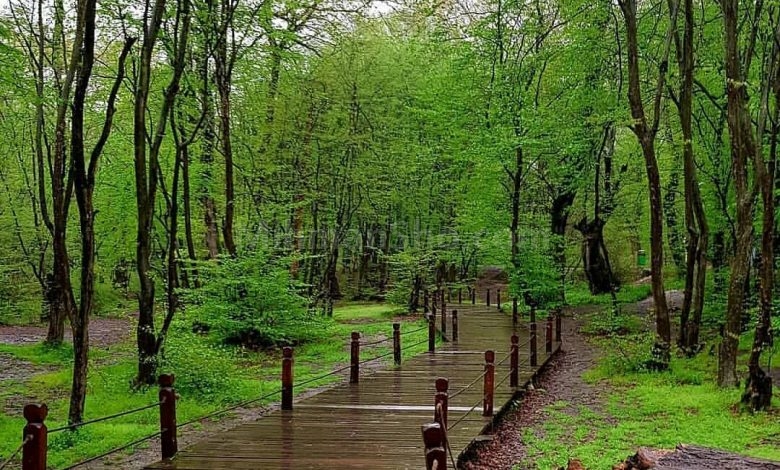 پارک جنگلی النگدره
