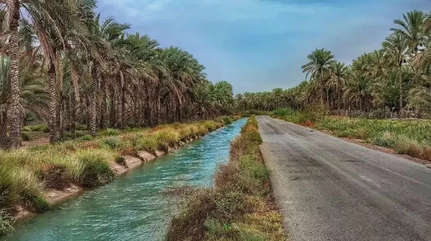 بیشاپور تا بوشهر