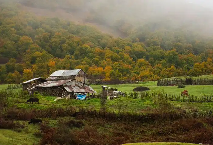 سیاهکل به دیلمان