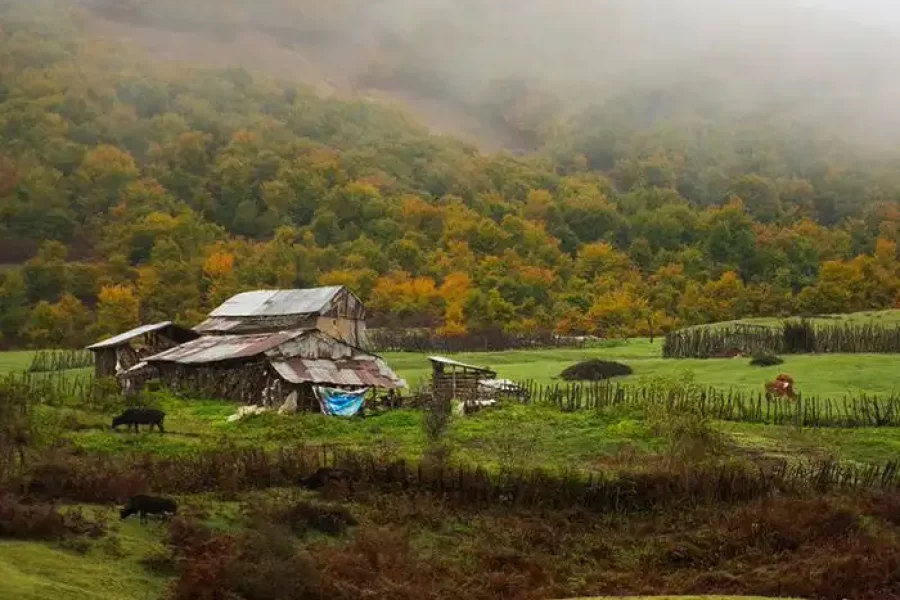 سیاهکل به دیلمان