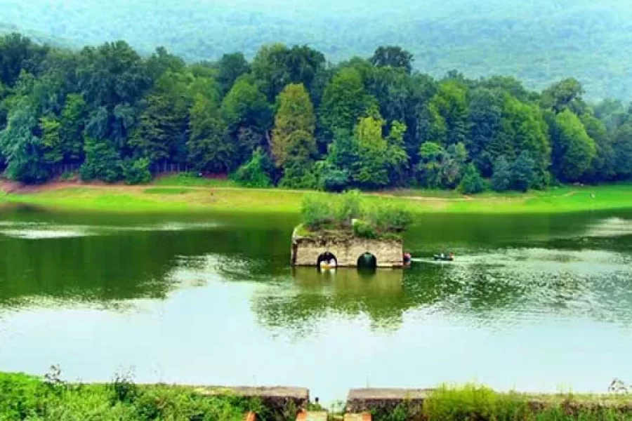 ریلی دریا به جنگل